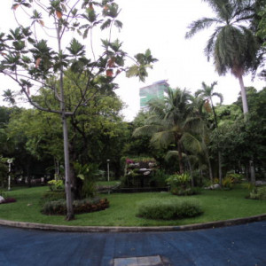 DSC03304