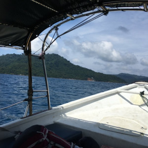 Ferry Parte Frt