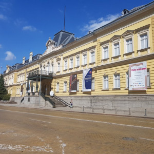 19