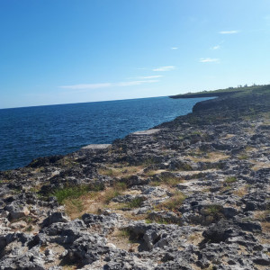 20180920_095901
