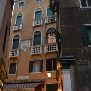DSC_0375