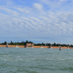 DSC_0560