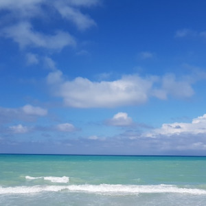 20181117_123530