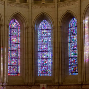 Lyon19 (Cópia)