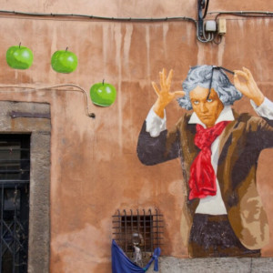 Lyon35 (Cópia)