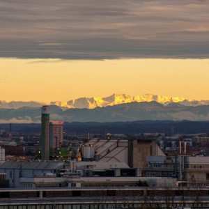 Lyon49 (Cópia)