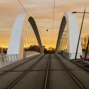 Lyon50 (Cópia)