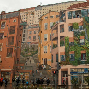 Lyon100 (Cópia)