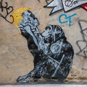 Lyon109 (Cópia)