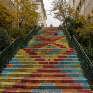 Lyon118 (Cópia)