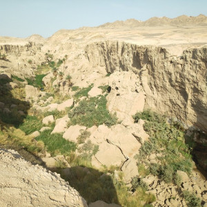 72 Canyon