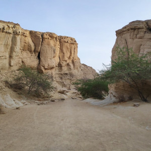 50 Canyon