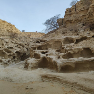 51 Canyon