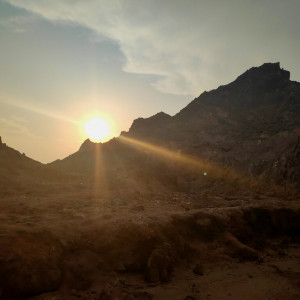 91 Hormuz