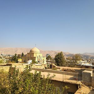 4 Shiraz
