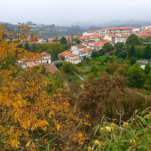 IMG_7074