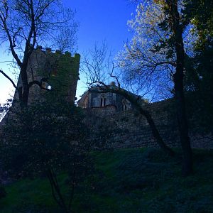 IMG_7695(1)