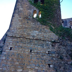 IMG_7696(1)