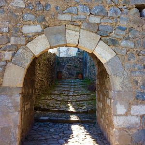IMG_7698