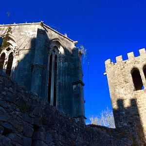 IMG_7703(1)