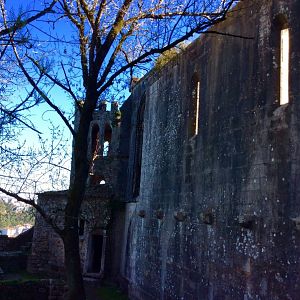 IMG_7725