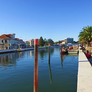 IMG_1977