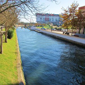 IMG_1980