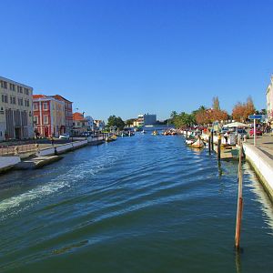 IMG_1989
