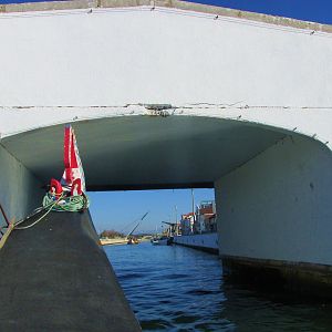 IMG_2019