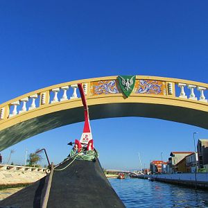 IMG_2029