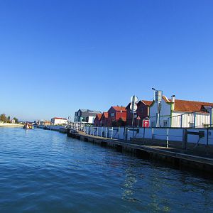 IMG_2031