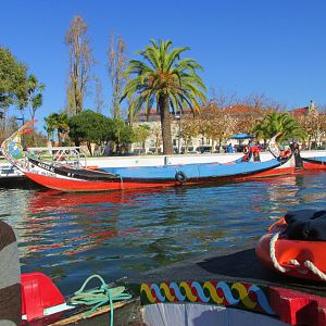 IMG_2035