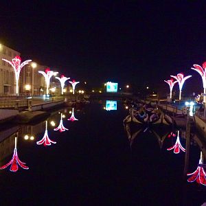 IMG_7882