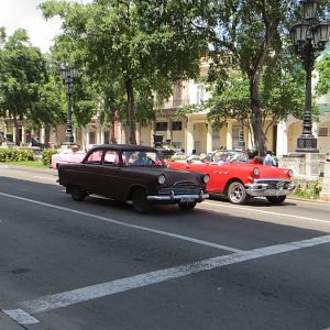 IMG_8924