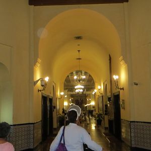IMG_8943