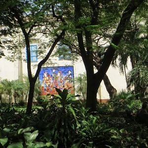 IMG_9032