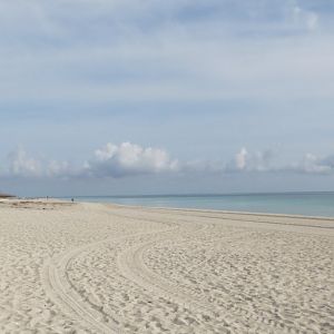 IMG_9110
