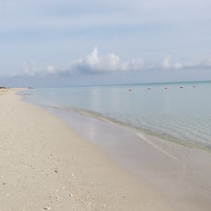 IMG_9114