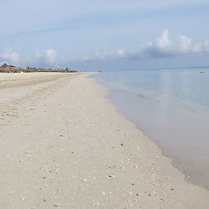 IMG_9115
