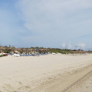 IMG_9121