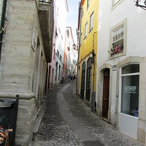 IMG_4461