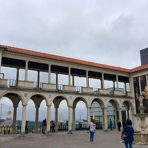 IMG_4769