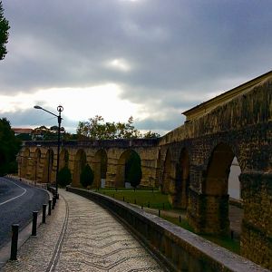 IMG_6964(1)