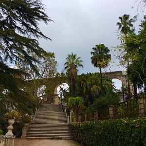 IMG_6969