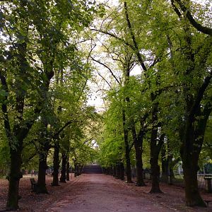 IMG_6972(1)