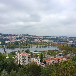 IMG_6981