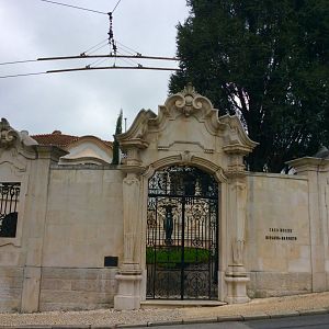 IMG_6991(1)