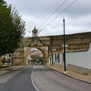 IMG_6993