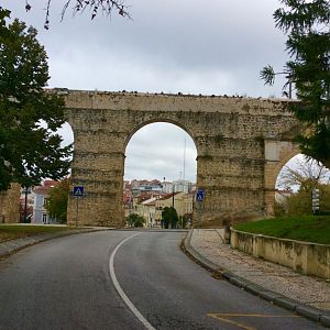 IMG_6994