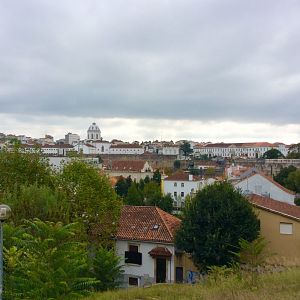 IMG_7007